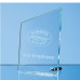 Award Plaques In Jade, Clear and Smoked Glass